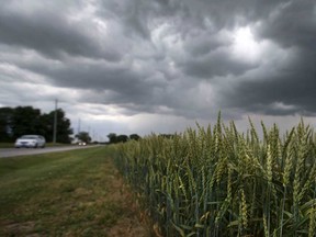 Storm clouds gather over Gore Road in South Colchester in June 2017.