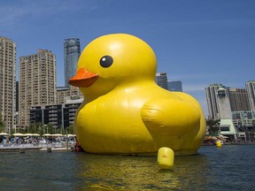 The World's Largest Rubber Duck looms over Toronto's downtown waterfront on June 30, 2017.
