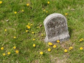 Tombstone with "rest in peace" inscription and dandelions in a cemetery.