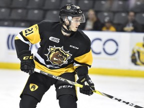The Windsor Spitfires acquired veteran centre Luke Kutkevicius from the Hamilton Bulldogs on Monday for two draft picks. Photo by Aaron Bell/OHL Images