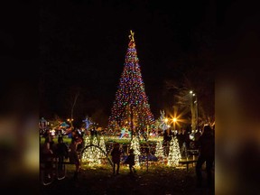 A display from the RIver Lights Winter Festival in Amherstburg.