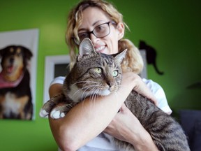 Lauren Edwards, of Moggy Cat Rescue, holds brown tabby Tom Tom on Wednesday at the Windsor/Essex County Humane Society on Provincial Road. Tom Tom is one of several pets Edwards and her colleagues rescued from the flood-ravaged state of Texas following the destruction of hurricane Harvey.
