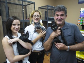 Amanda Scully, of Moggy Cat Rescue and Charlotte's Freedom Farm, left, Lauren Edwards, founder of Moggy Cat Rescue, and  Dan Inverarity, a volunteer at Moggy Cat Rescue, hold cats up for adoption at the Pet Value on Tecumseh Road East in Windsor on Sept. 14, 2017. A trip down to Houston has been organized by Moggy Cat Rescue to rescue 30-40 animals that were displaced by the recent floods.