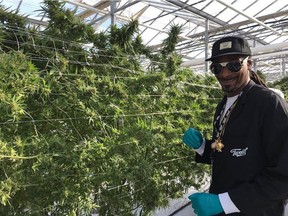 Rap icon Snoop Dogg paid a visit to Niagara-on-the-Lake last fall, touring Tweed Farms to catch a glimpse of some of the product being grown at the facility on Concession 5.