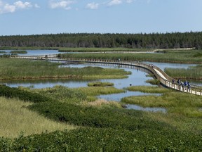 The Greenwich peninsula portion of Prince Edward Island National Park is seen in Greenwich, Prince Edward Island on Tuesday, Aug. 29, 2017. The site contains an extensive and fragile coastal dune system, wetlands and various natural habitats in which numerous rare plant species are found.