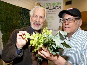 Bill Baylis, left, of Science City, and Zale Tabakman, owner of Local Grown Salads, a business specializing in vertical growing, examine fresh lettuce, thyme and kale inside the Forster Community Hub.