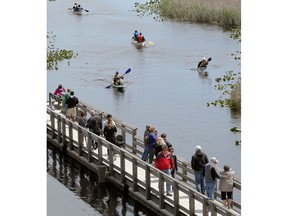 A new Windsor-Essex Bike Bus allows city folks to pack their bicycles and head out into the county, perhaps to have a two-wheeled adventure in Point Pelee National Park, with its boardwalk shown here, May 22, 2017.