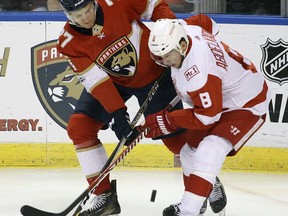 Florida Panthers' Nick Bjugstad (27) and Detroit Red Wings' Justin Abdelkader (8) battle for the puck during the first period of an NHL hockey game, Saturday, Oct. 28, 2017, in Sunrise, Fla. (AP Photo/Luis M. Alvarez)