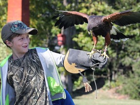 Hunter Pillon, 9, holds a Harris hawk at the Jack Miner Bird Sanctuary on Sunday, October 22, 2017, during the 48th annual Migration Festival in Kingsville, ON.