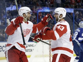 Detroit Red Wings centre Frans Nielsen, of Denmark,, left, celebrates his goal against the Tampa Bay Lightning with left wing Darren Helm during the first period of an NHL hockey game Oct. 26, 2017, in Tampa, Fla.