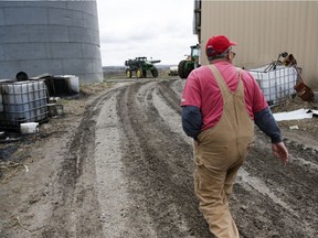 In this April 4, 2017,  photo, Blake Hurst, a corn and soybean farmer and president of the Missouri Farm Bureau, walks to the tractor shed on his farm in Westboro, Mo. U.S. President Donald Trump has vowed to redo the North American Free Trade Agreement, but NAFTA has widened access to Mexican and Canadian markets, boosting U.S. farm exports and benefiting many farmers. Hurst says NAFTA has been good for his business and worries that he'll lose out in a renegotiation.
