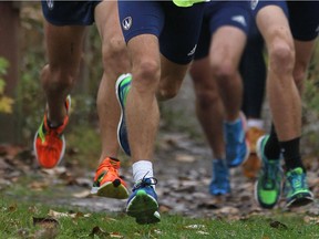 The Windsor Lancers will host the OUA cross-country championships on Saturday at Malden Park.