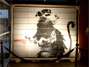 Banksy's infamous Haight Street Rat painting, owned by Brian Grief, will stay at Amherstburg's Wolfhead Distillery two weeks longer than originally planned.