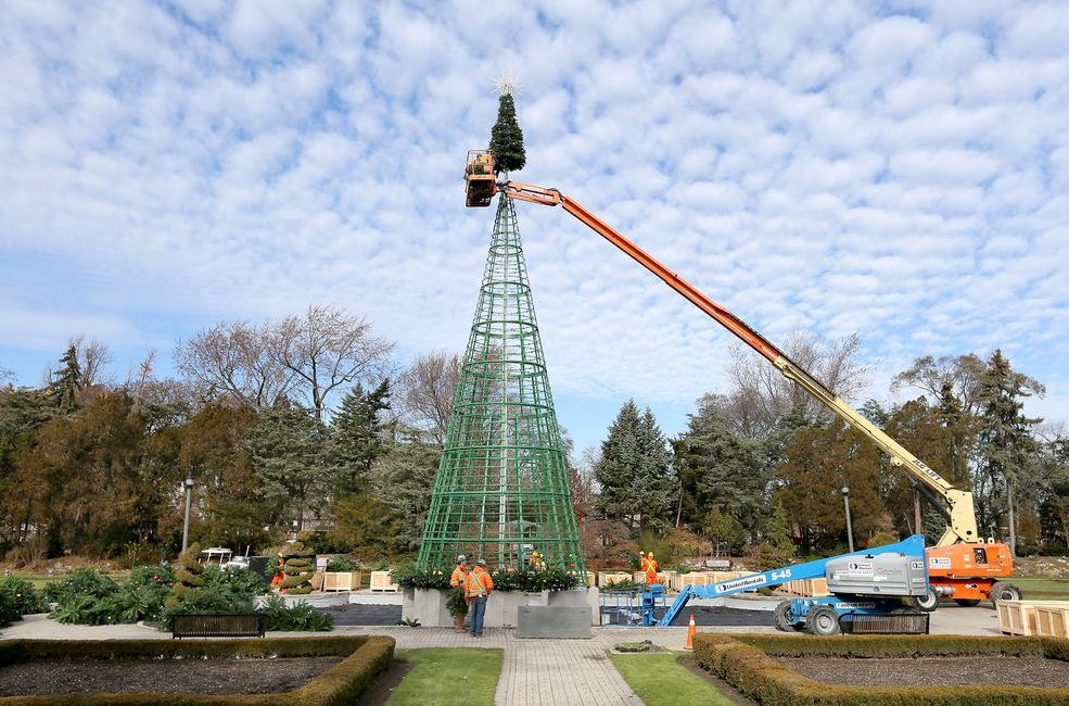 Photos Jackson Park makes room for huge Bright Lights Christmas tree
