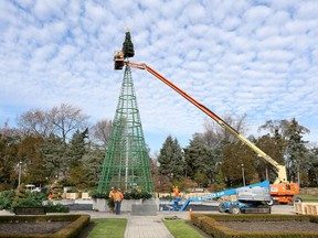 A huge, 70-foot-high Christmas tree was being assembled and decorated by members of Ironworkers Local 700 and Carlesimo Steel Ltd. at Jackson Park, Nov. 24, 2017. The steel behemoth's 10,000 branches will be adorned with 25,000 ornamental bulbs and be equipped with 30,000 plug-ins for lights. The Bright Lights Windsor festival opens Dec. 8.