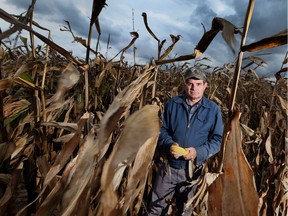 Lyle Hall, president of the Essex County Federation of Agriculture, talks about the impact of changing weather conditions from a cornfield near Essex.