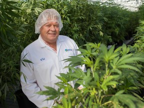 Aphria CEO Vic Neufeld is photographed at the leamington plant.