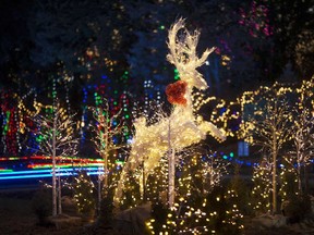 Part of the Bright Lights Windsor display at Jackson Park on Dec. 8, 2017.