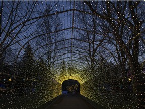 A tunnel of lights is shown during the Bright Lights Windsor opening ceremony at Jackson Park on Dec. 8, 2017.