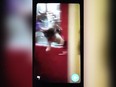 A screen capture of a reader-submitted video allegedly showing a small dog being thrown against a door. The Windsor-Essex County Humane Society is investigating.