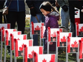 A young girl checks out flags with the names of fallen soldiers during a Remembrance Day ceremony in downtown Windsor on Nov. 11, 2017.