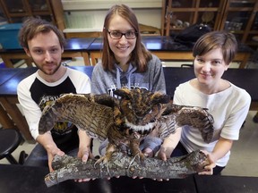 Jason Chappus, left, Grace Bastien and Gillian Hughes are members of the University of Windsor's Avian Taxidermy Club. The are shown on Dec. 20, 2017.