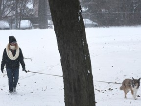 Maggie Ross takes her dog Sebastien for a walk along Sandwich Street in Windsor on a snowy Monday, January 29, 2018.