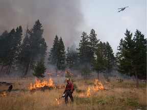 B.C. Wildfire Service firefighter Max Arcand uses a torch to ignite dry brush as a helicopter drops water on the other side of a fire guard during a controlled burn to help prevent the Finlay Creek wildfire from spreading near Peachland, B.C., on  Sept. 7, 2017.