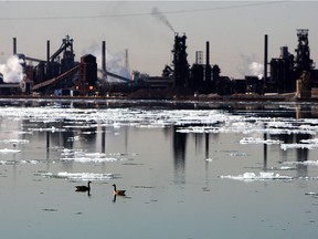 A pair of geese swim in the Detroit River in the shadow of Zug Island in Detroit in this file photo.