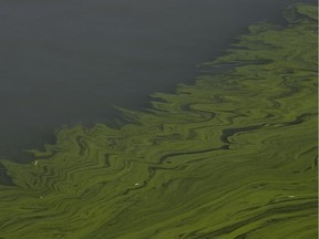 Algae bloom on Lake Erie are shown in this 2014 file photo.