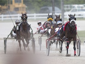 Harness racing returned to Leamington Raceway for first of 13 race days, Sunday, Aug. 6, 2017.