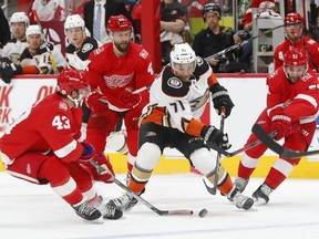 Anaheim Ducks' J.T. Brown (71) carries the puck against Detroit Red Wings' Darren Helm (43) and Frans Nielsen (51) in the first period of an NHL hockey game Tuesday, Feb. 13, 2018, in Detroit.