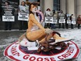 PETA's Laura Lee was dressed up as a coyote with a leg in a bloody steel trap during a protest in downtown Windsor, Jan. 31, 2018. The group was protesting the Canada Goose company's use of animal fur in its winter coats.