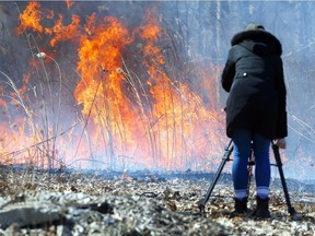 University of Windsor student Ali Dermansky gets close to a 'prescribed burn' by ERCA and Wildfire Specialists near the Spring Garden Natural Area March 19, 2018.  Dermansky, a fourth-year social work student, was working on a video project with others for the Aboriginal Education Centre.