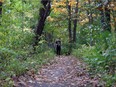Drew Riach runs through Black Oak Heritage Park near the Ojibway Shores woodlot Oct. 24, 2017.