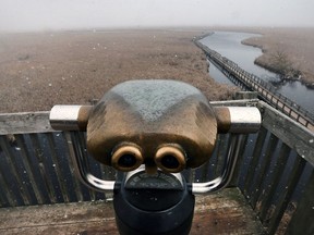 The observation tower overlooking the boardwalk at the Point Pelee National Park in Leamington, ON. is shown on March 8, 2018.