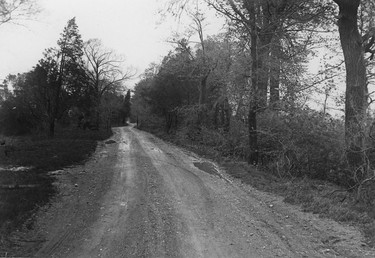 Point Pelee Road, looking north from Highway 3, circa 1920.