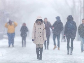 University of Windsor students trudge through falling snow on campus in this March 2017 file photo.