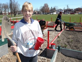 Gardener Dianne McDonald received helping hands from volunteers on Friday as about a dozen TD Canada Trust staffers assisted with the preparation of raised beds for this year's vegetables at the Wigle Park Community Garden.