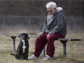 Ken Matte sits with Aerial, his Boston Terrier-Beagle mix, at the dog park at Black Oak Heritage Park in west Windsor, Friday, April 13, 2018.