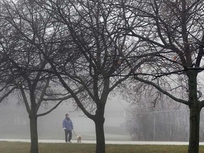 Windsor's Ganatchio Trail in January 2017.