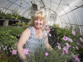 Wanda Letourneau, manager of horticulture at Windsor's parks and recreation department, is shown April 23 at Lanspeary Park greenhouse, where the Paul Martin Rose and Perennial sale is being held.