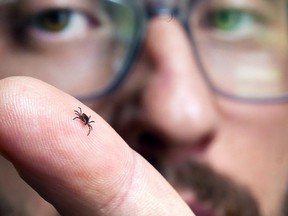 Tom Preney, the city's biodiversity co-ordinator, displays a deer tick on his finger on Wednesday, April 4, 2018 at the Ojibway Nature Centre.