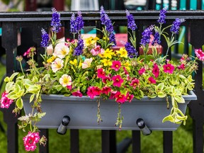 A planter of flowers hangs on a fence.