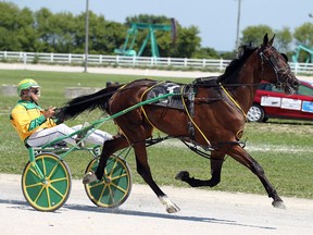 A driver warms up a horse during harness racing action in Leamington Aug. 16, 2015.