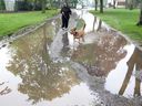 Theresa Viselli und ihr Hund Jax machen am 14. Mai 2018 einen Spaziergang durch den regennassen Jackson Park.