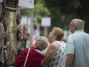 People look at an art piece by Canadian artist Blake Richardson at Art in the Park on June 3, 2018.