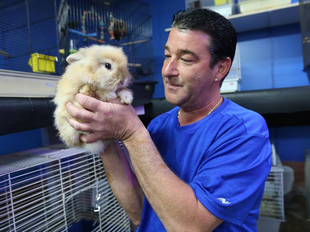 Windsor pet store apologizes for confrontation caught on video, defends treatment of animals