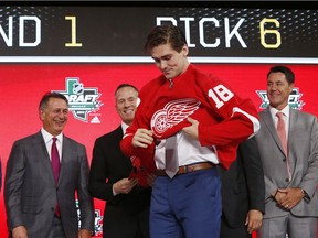 Filip Zadina (18), of the Czech Republic, puts on a jersey after being selected by the Detroit Red Wings during the NHL hockey draft in Dallas.