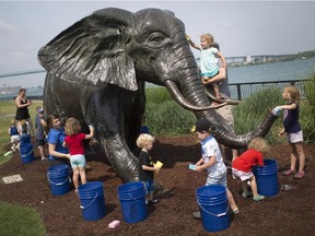 A group of young children and their parents wash down Tembo and her two calves on the Windsor riverfront, Saturday, June 30, 2018.